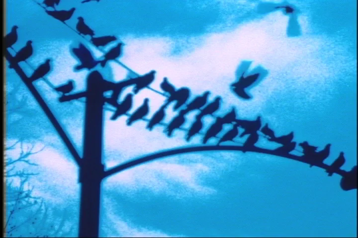Still from Faultlines, 1998