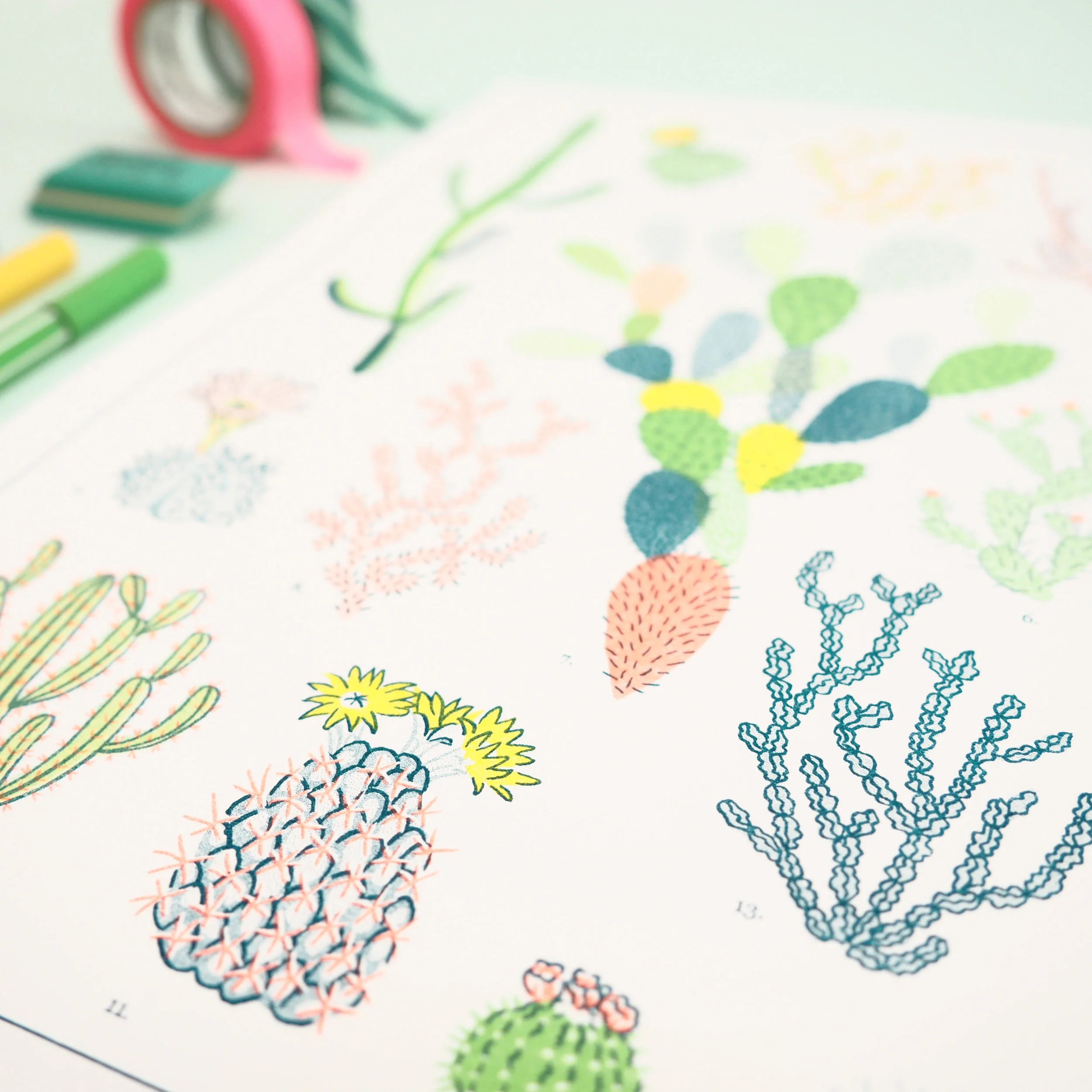 Cacti-Botanical-Natural-History-Riso-Print-2.jpg
