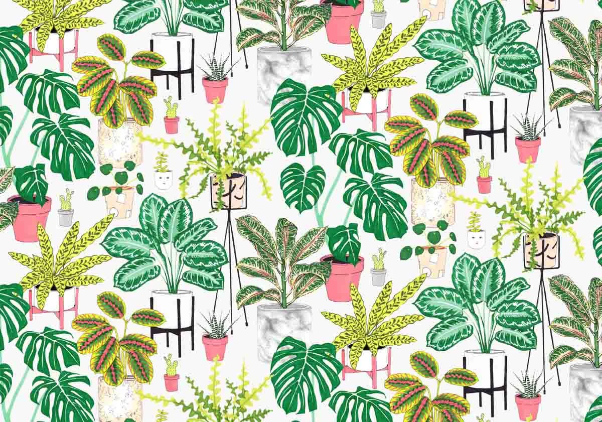 Houseplants2.jpg