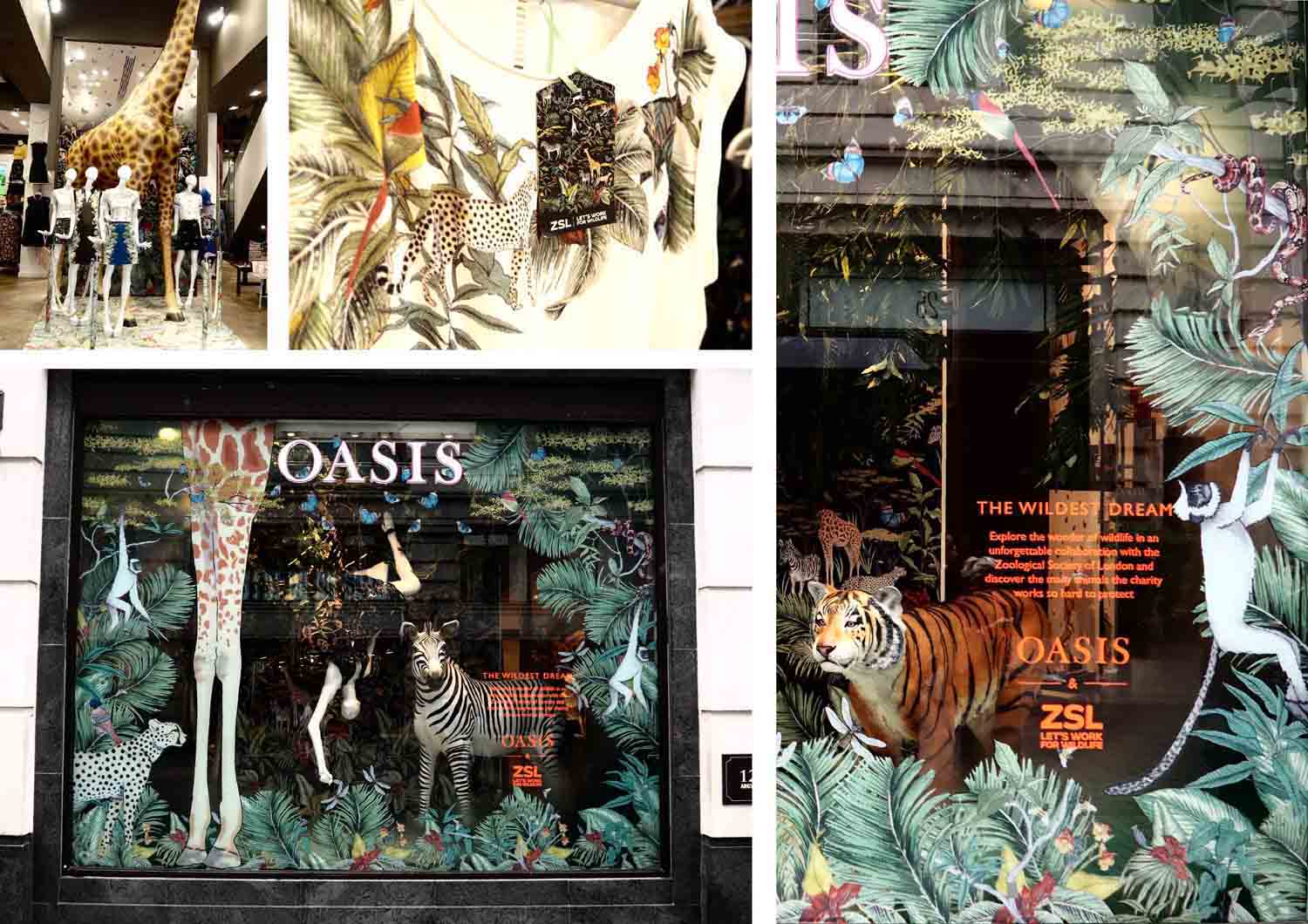 Oasis-Fashion-ZSL-London-Zoo-Windows.jpg