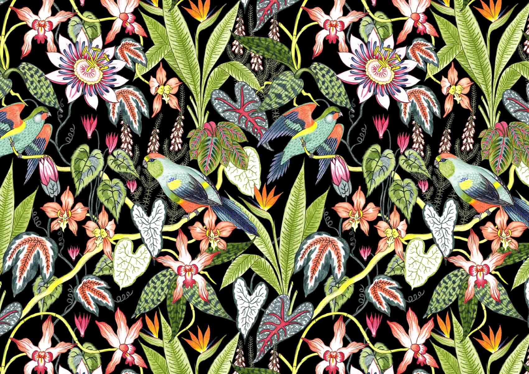 Derwent-Tropical-Pencil-set-Illustration-Pattern-Jacqueline-Colley-1.jpg