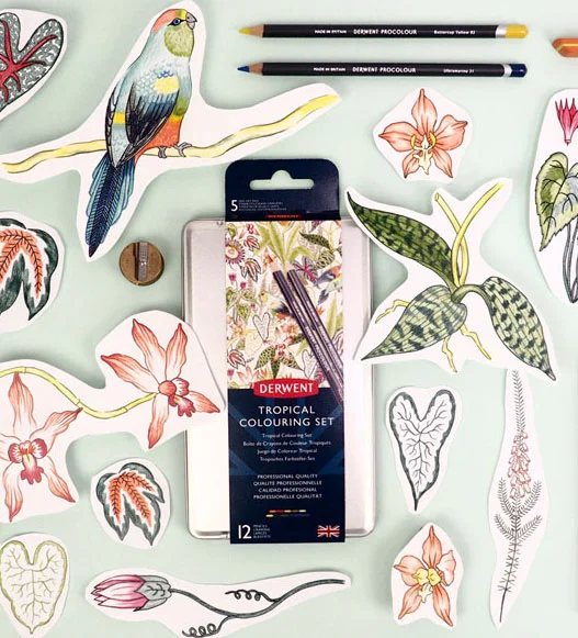 Derwent-Tropical-Pencil-set-Illustration-Pattern-Jacqueline-Colley-thmb.jpg