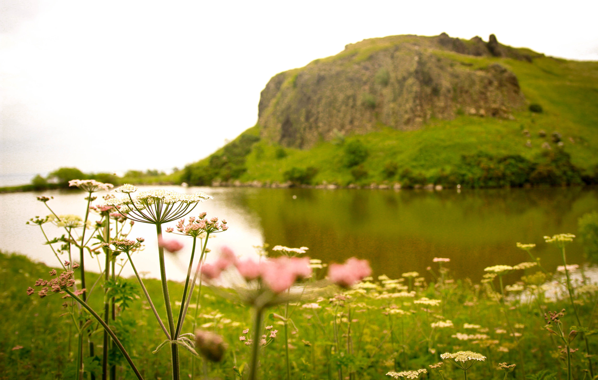 Travel Blogger | Edinburgh Scotland | Destination Elopement & Wedding Photographer | Travel Photography & Tips | Maral Noori Photography | Arthur's Seat