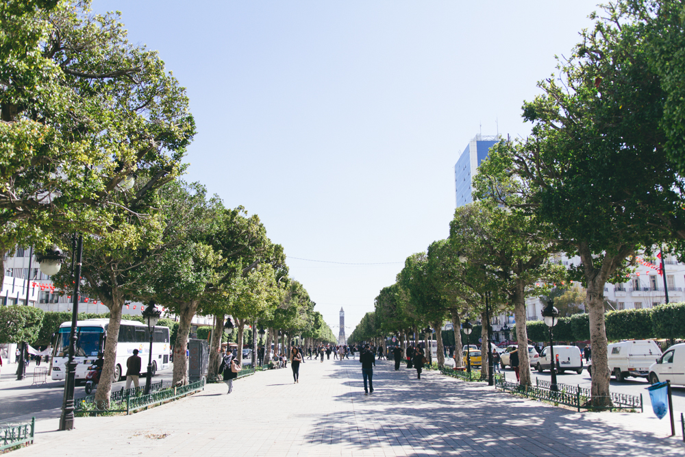 Tunis-March 2017-blog-49.jpg