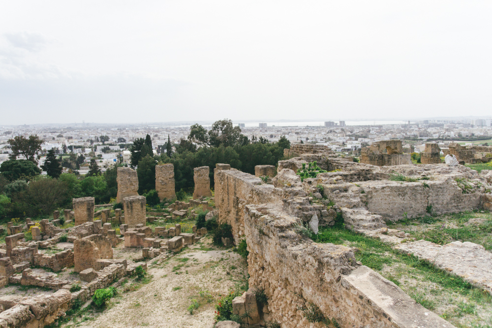 Tunis-March 2017-blog-123.jpg