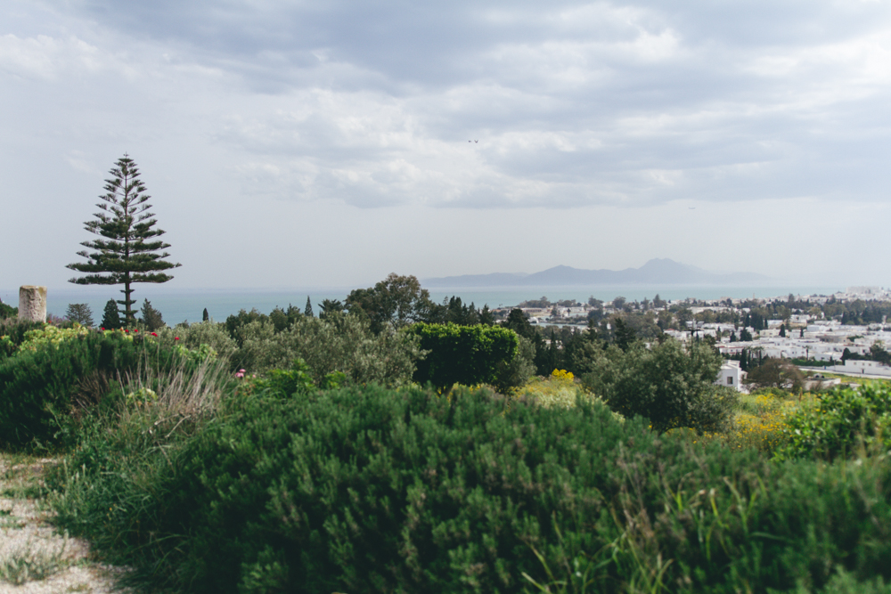 Tunis-March 2017-blog-110.jpg