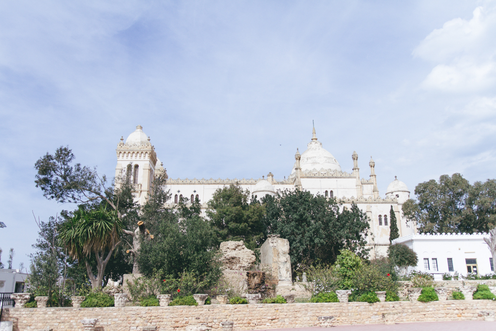 Tunis-March 2017-blog-108.jpg
