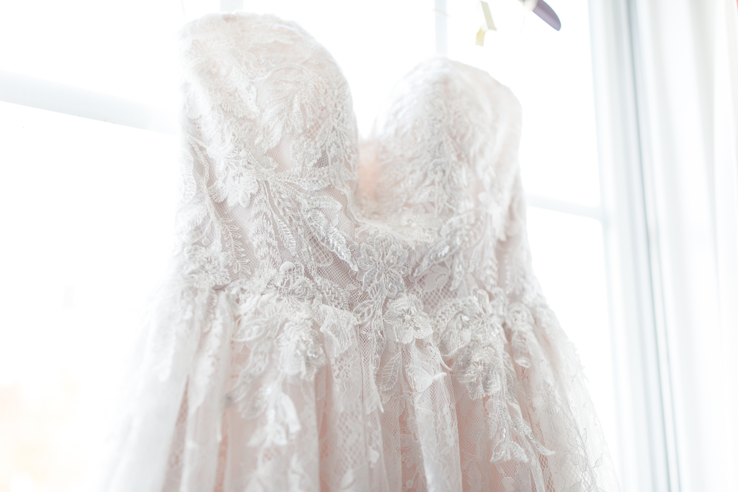 Carlyle House Elopement | Maral Noori Photography | Virginia Wedding Photographer