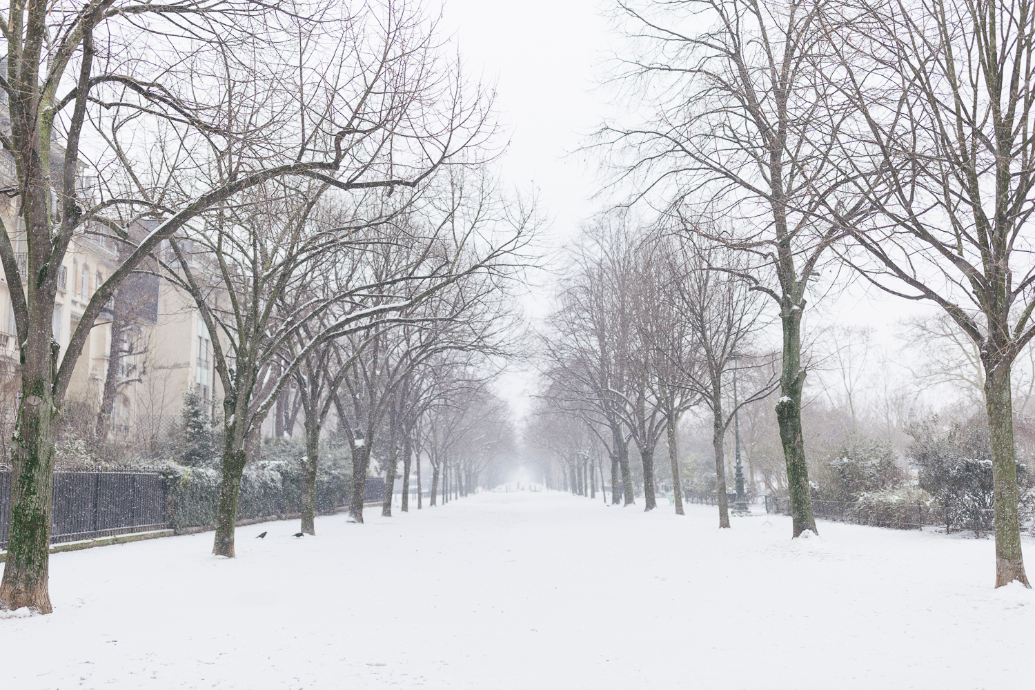 Paris, France Travel Blog | Tips | Tricks | Prints | Maral Noori Photography