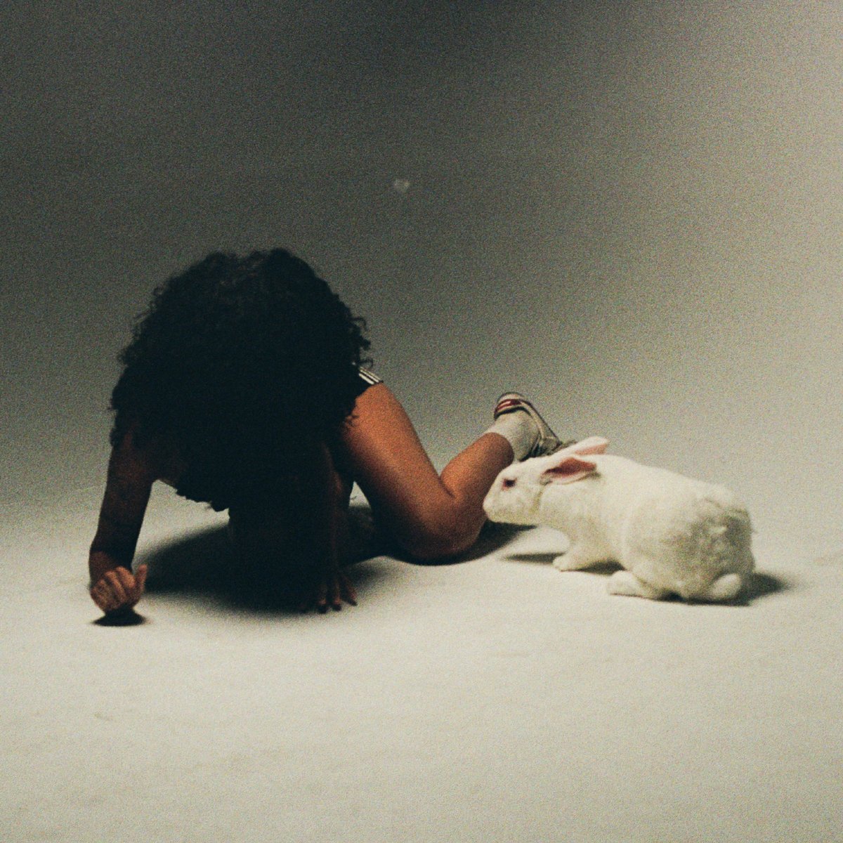 Monica Bang - "We're Not Safe"