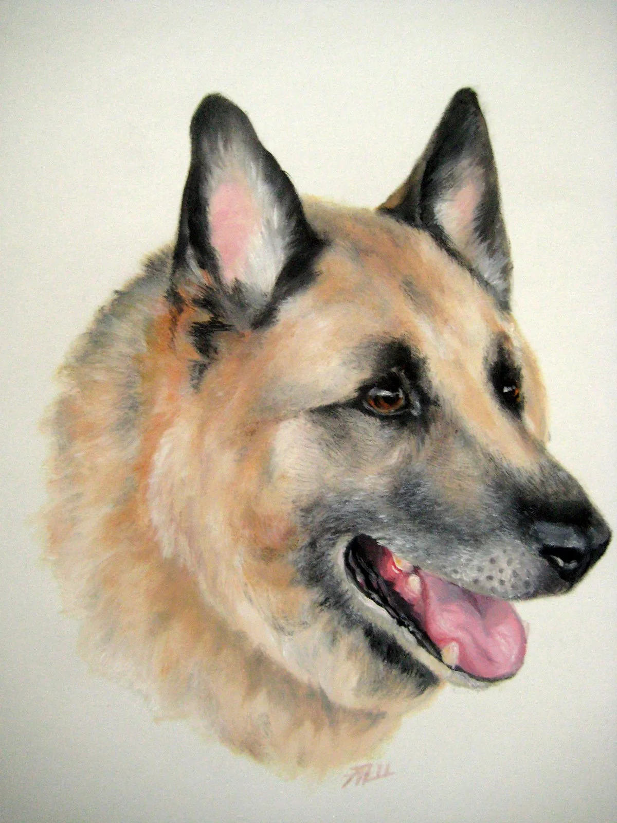 Argus | Oils 9x12"