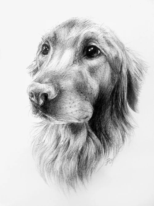 Charlie | Ballpoint pen