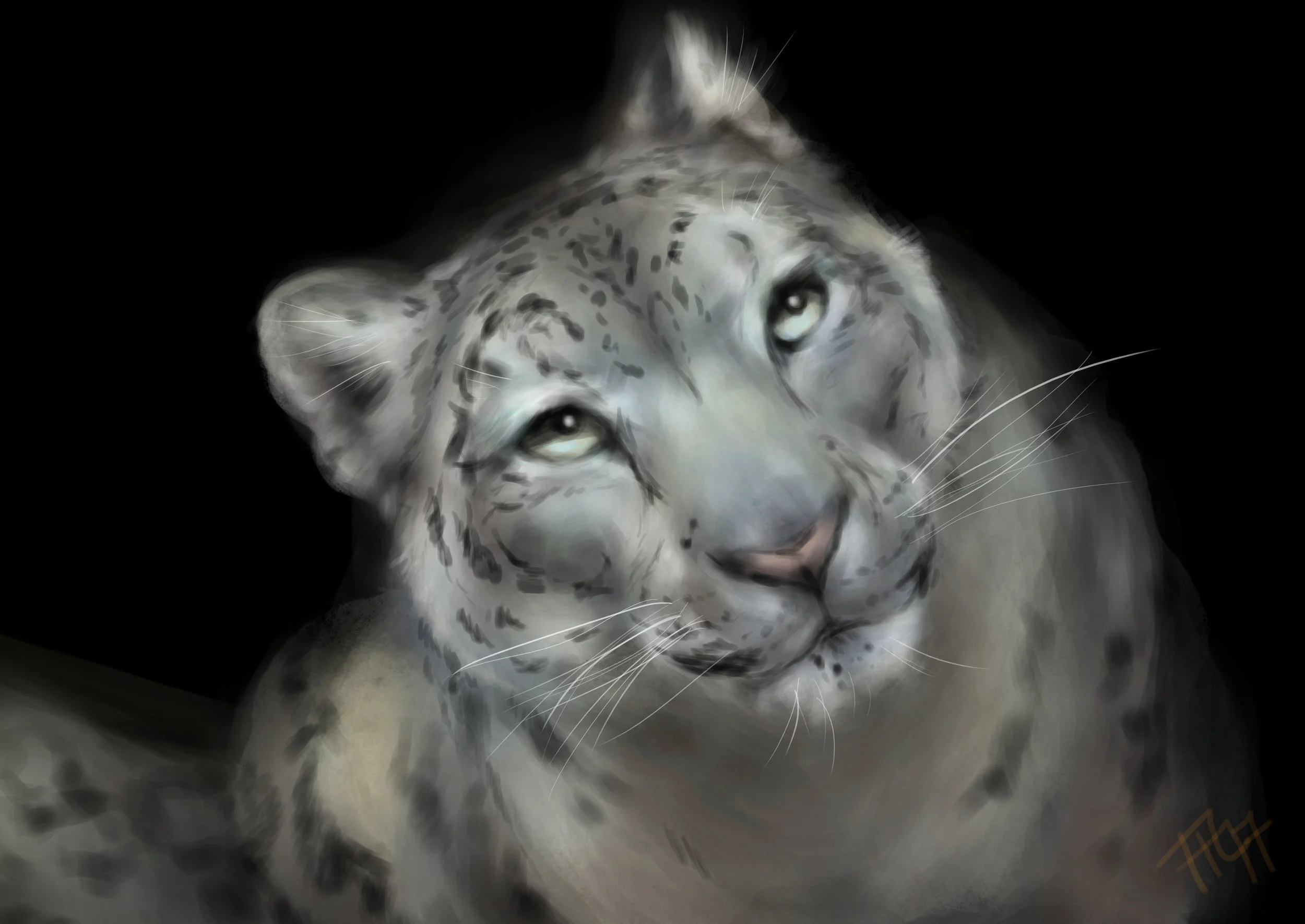 Snow leopard | Digital painting