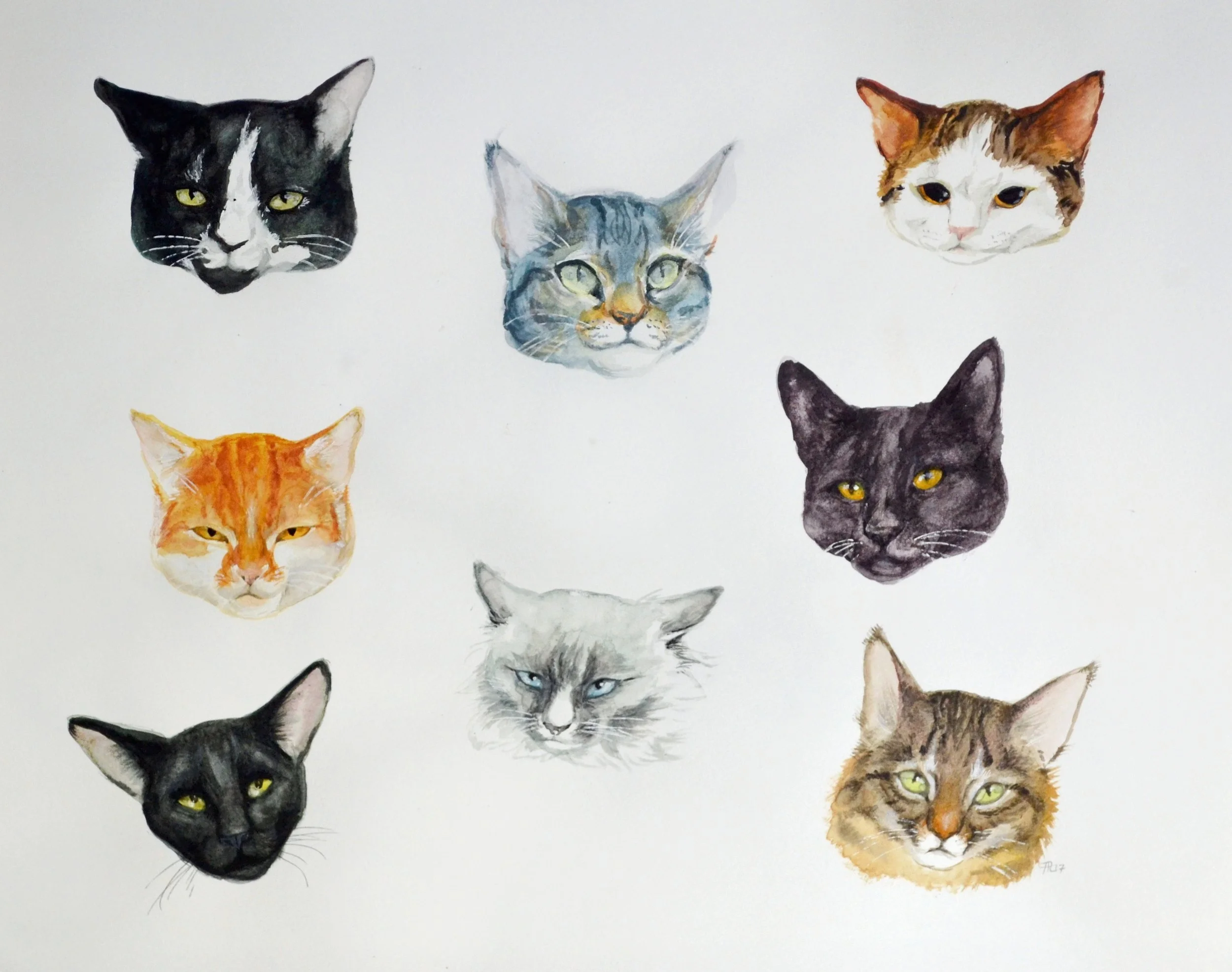 Cats of Reykjavik | Gouache 9x12"