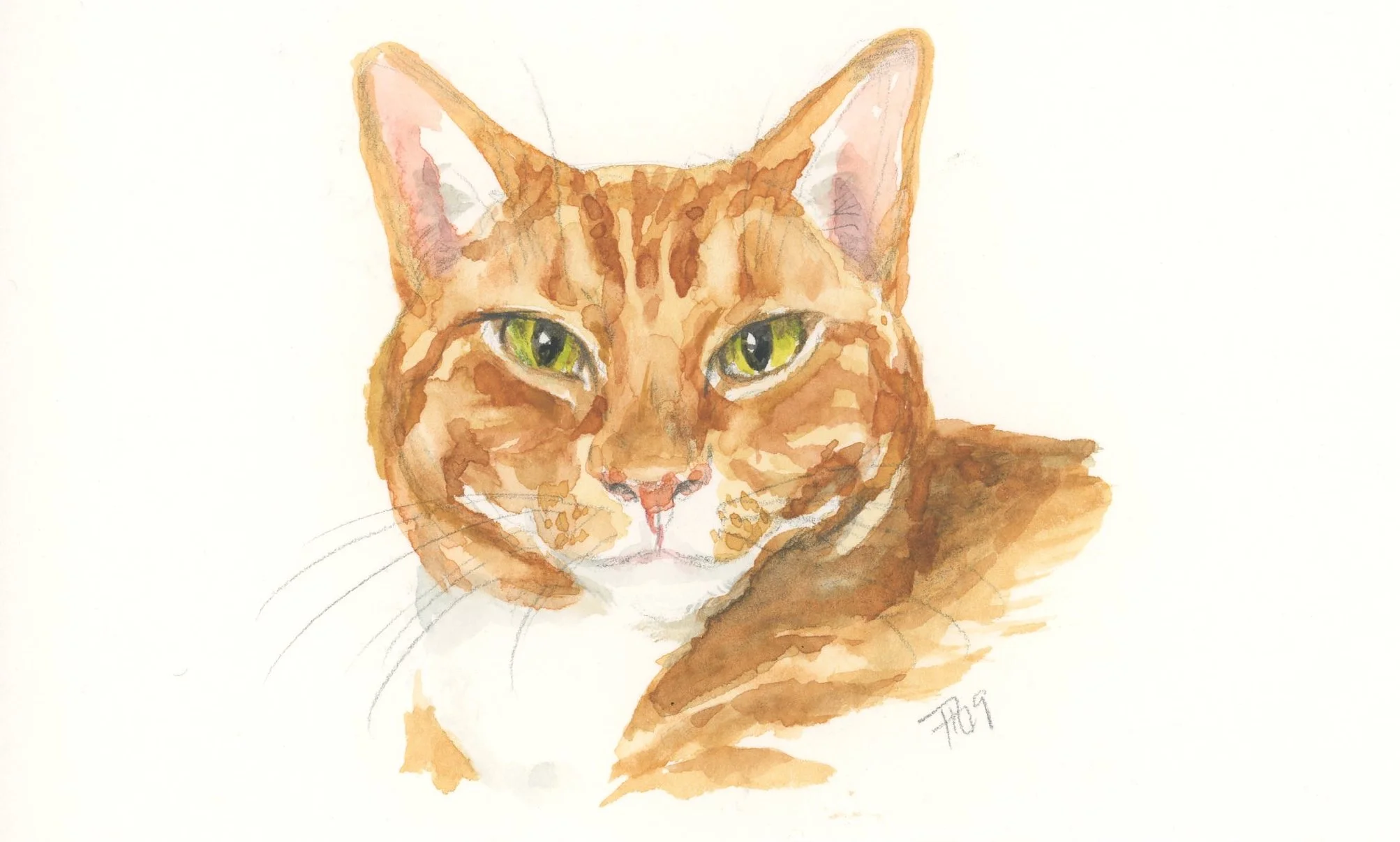 Ari | Watercolor and pencil 4x6"