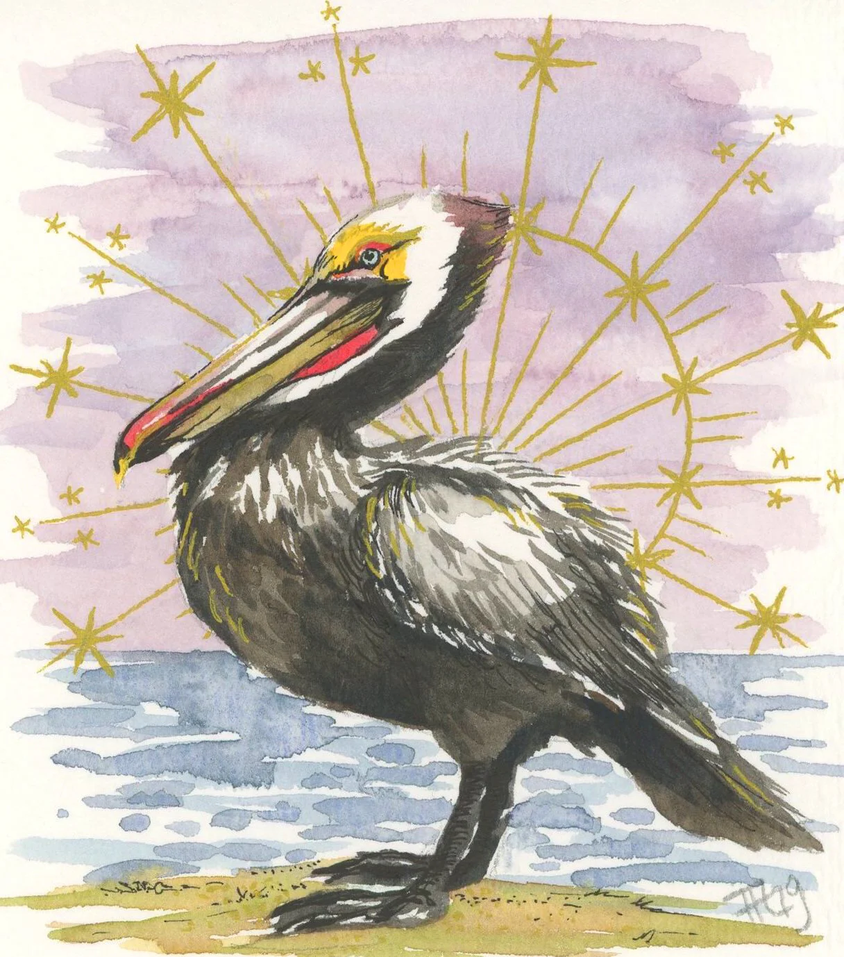 Pelican spirit | Watercolor, Micron, and metallic ink 4x4"