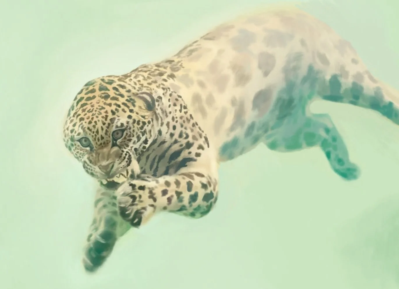 Diving leopard study | Digital painting