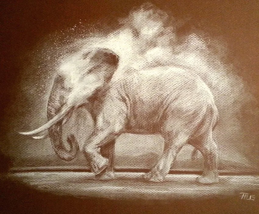 Elephant cloud | White charcoal on sepia board 9x12"