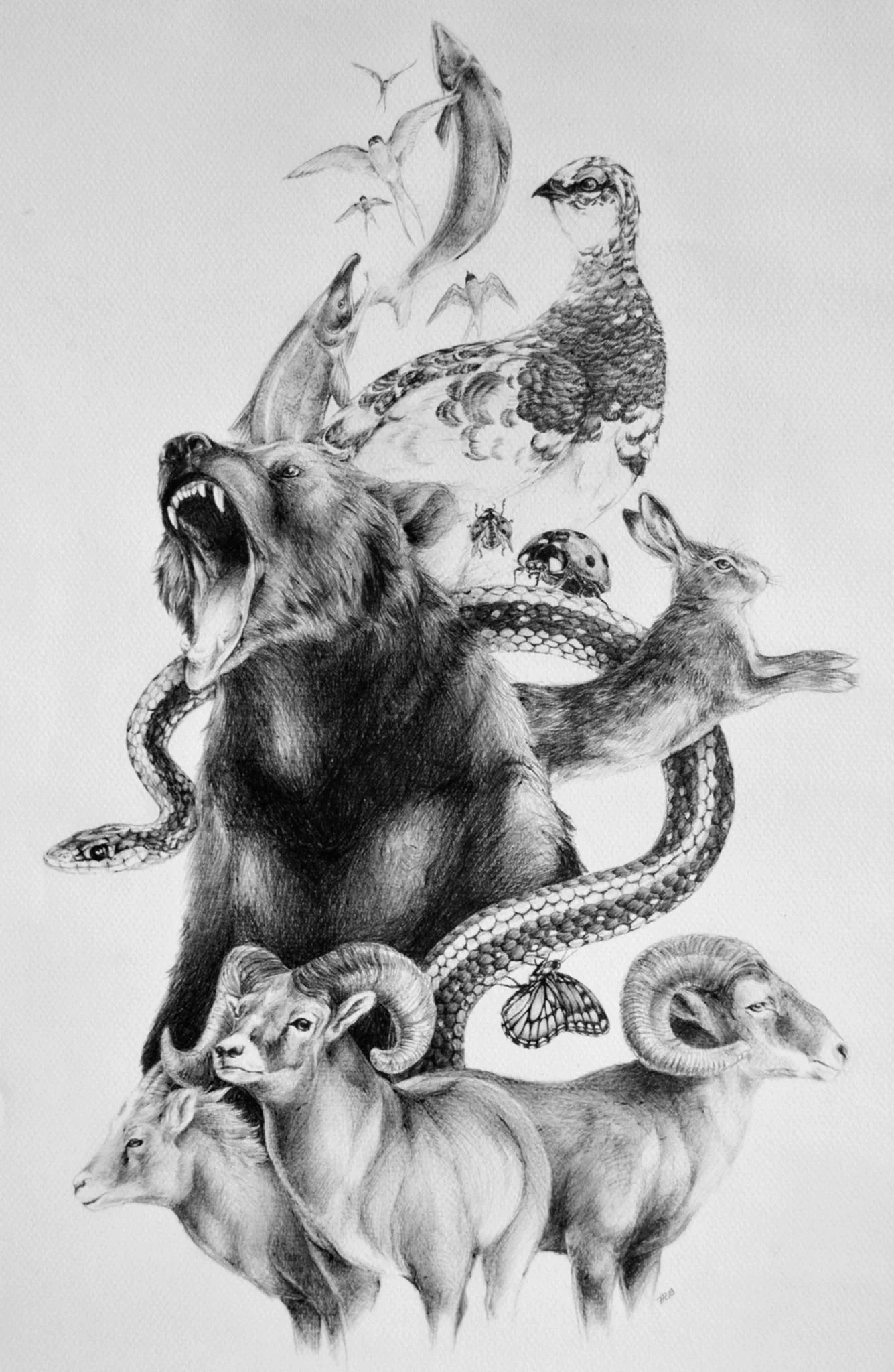 Denali Totem | Ballpoint pen on paper 18x24"