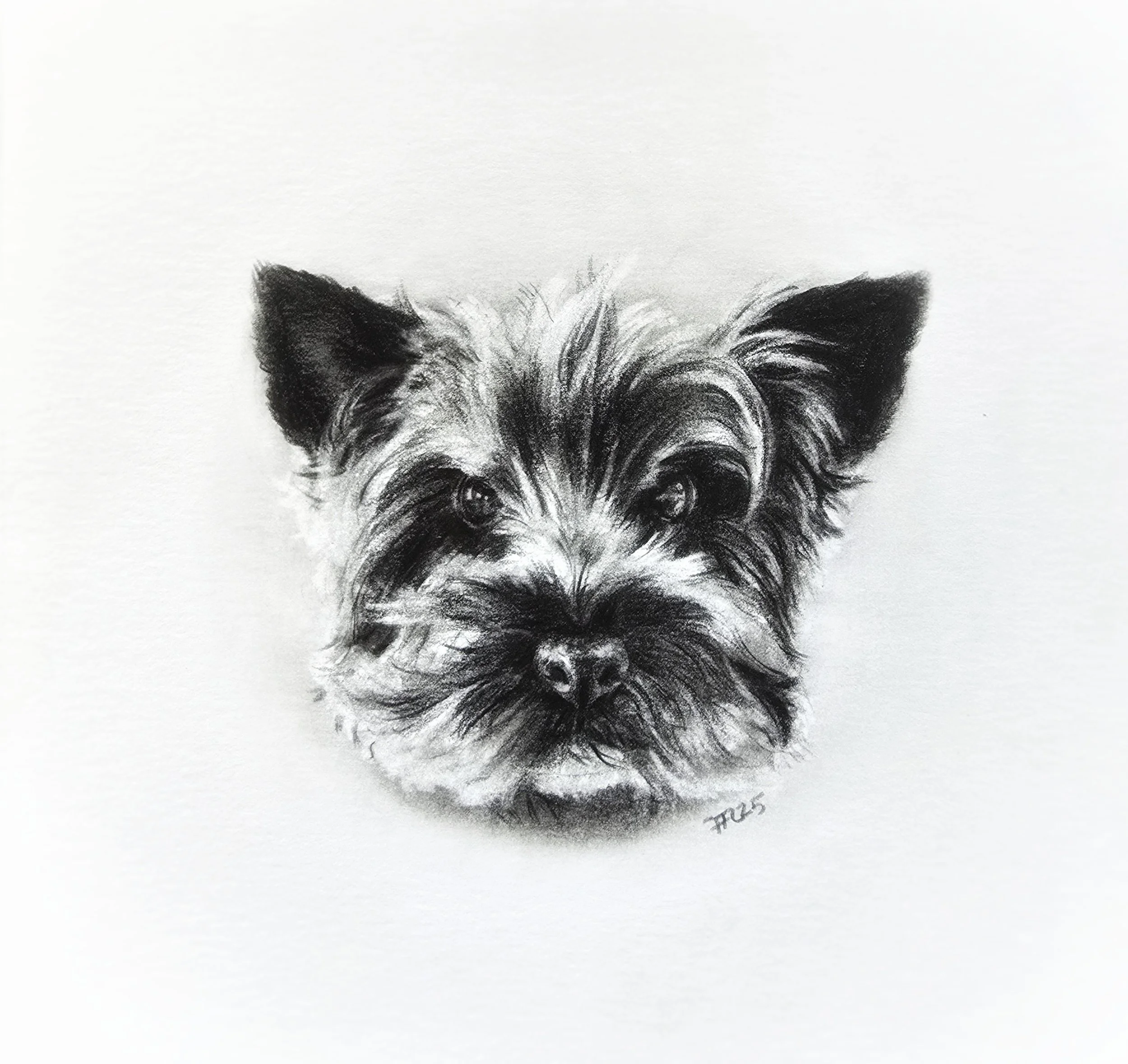 Lani | Graphite 6x6"
