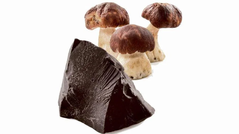 mushroom-chocolate.jpg