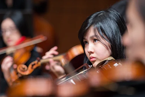 Chamber Strings thumb 500.jpg