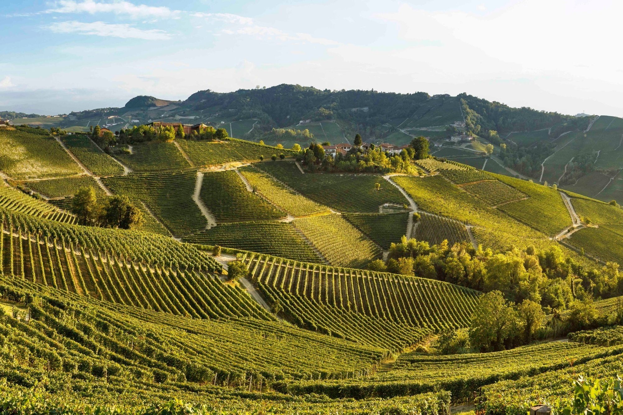 Discovering Langhe: a weekend at Le Due Matote.
