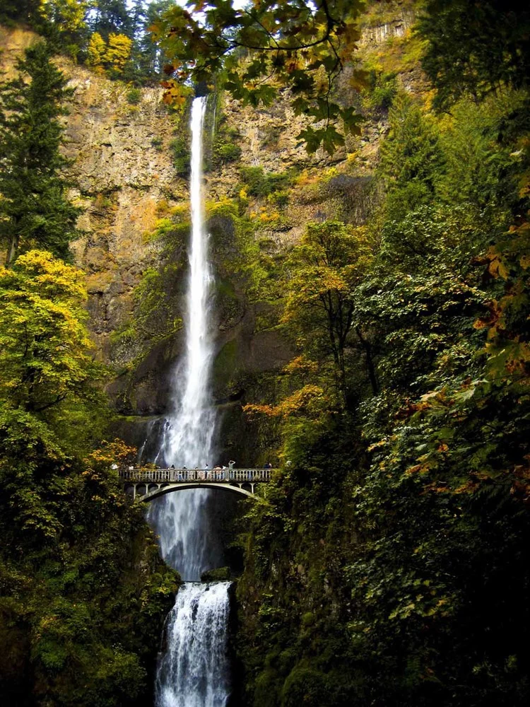 multnomah.jpeg