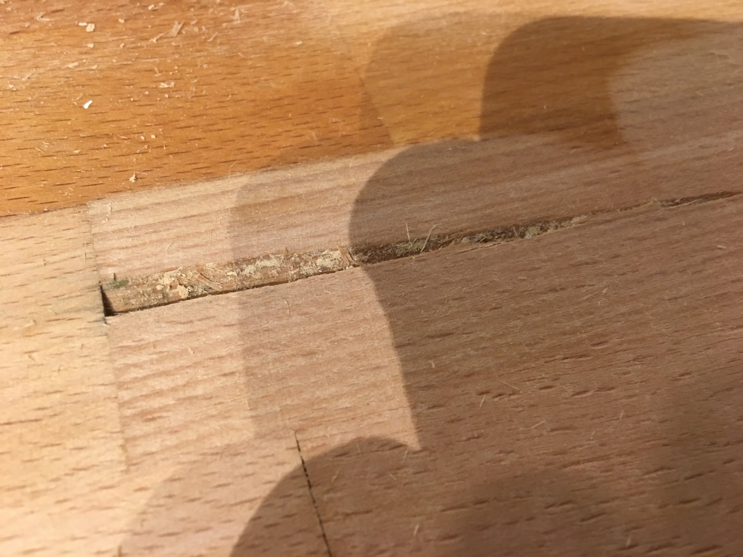 A chip caused by water damage. I might have to scarf a piece in here.