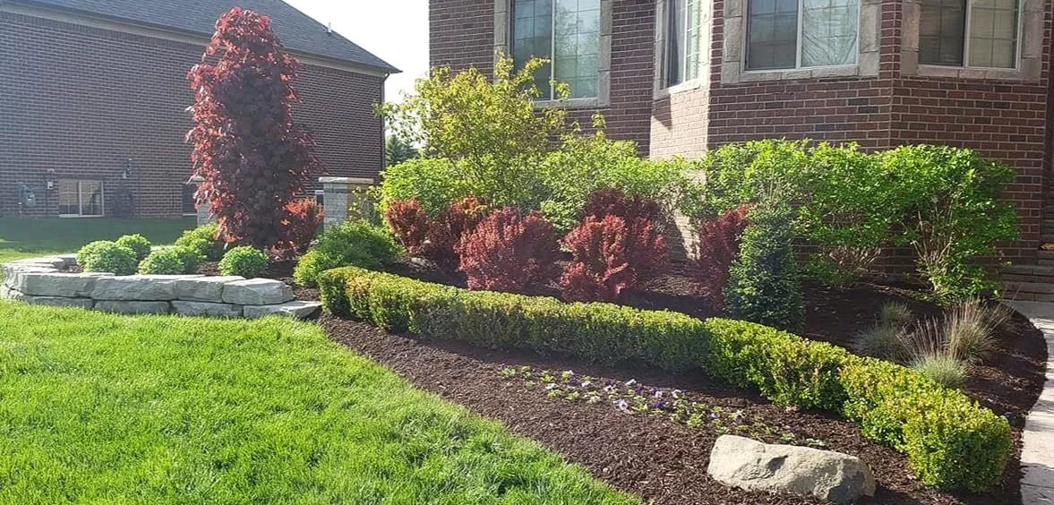 Front yard landscaping with various shrubs and a small tree in front of a brick house.