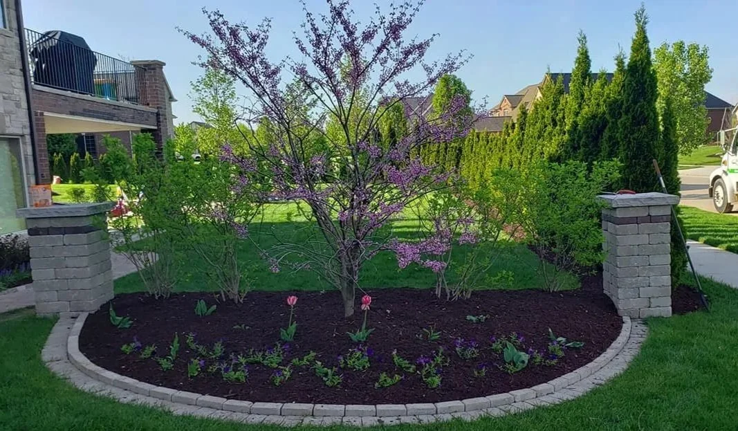 A landscaped front yard with a small flowering tree, tulips, and other plants, surrounded by a curved brick border and two brick columns, with houses and a street in the background.