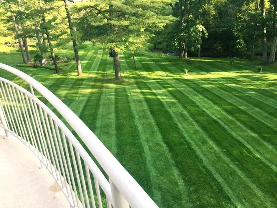 View of a freshly mowed grassy yard with alternating light and dark green stripes, seen from a balcony with white railings. The yard is surrounded by trees, and sunlight filters through the leaves.