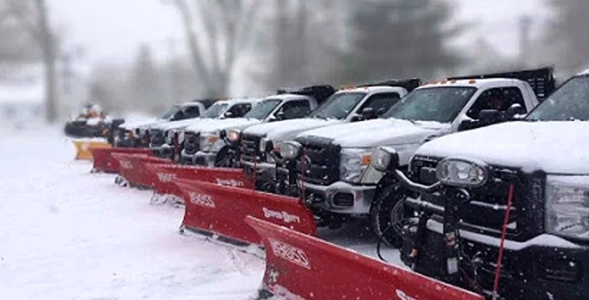 Multiple white pickup trucks parked in a snowy area with red snow plows attached to the front of each vehicle.