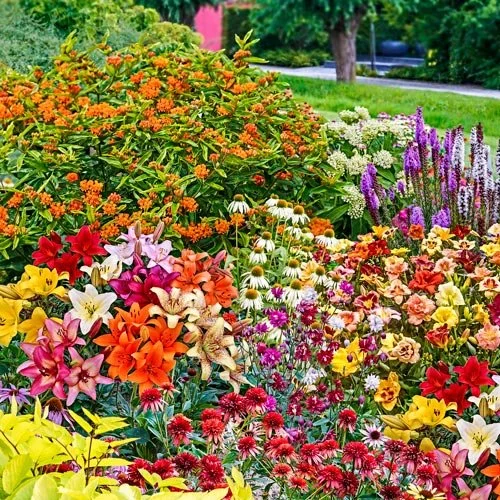 Butterfly garden.jpg