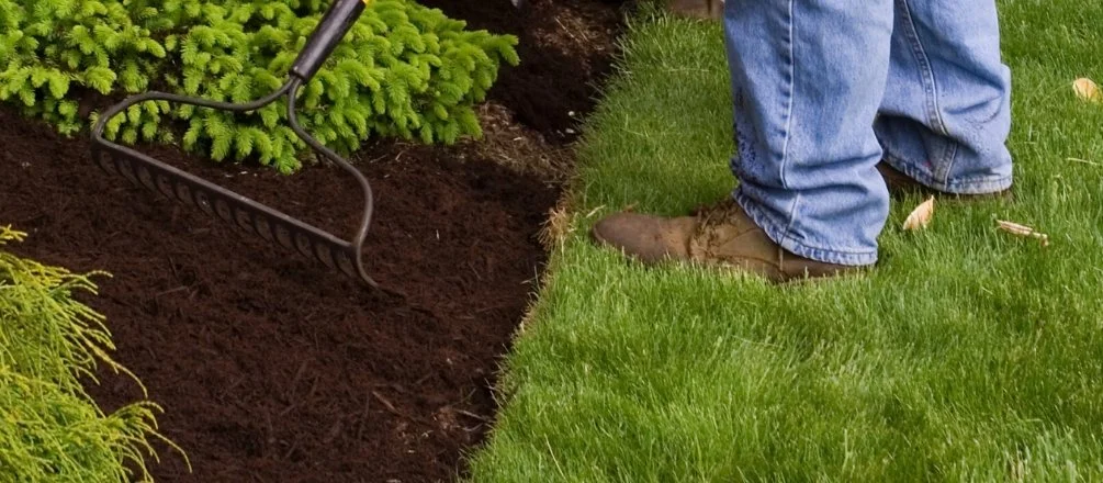 Person wearing jeans and brown work boots raking dark soil in a garden bed next to green grass.