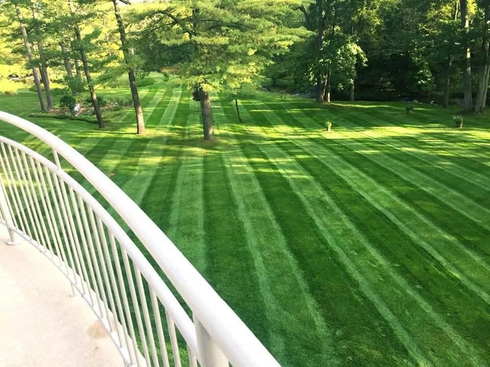 A well-maintained grassy lawn with striped mowing patterns, green trees in the background, and a white railing in the foreground.
