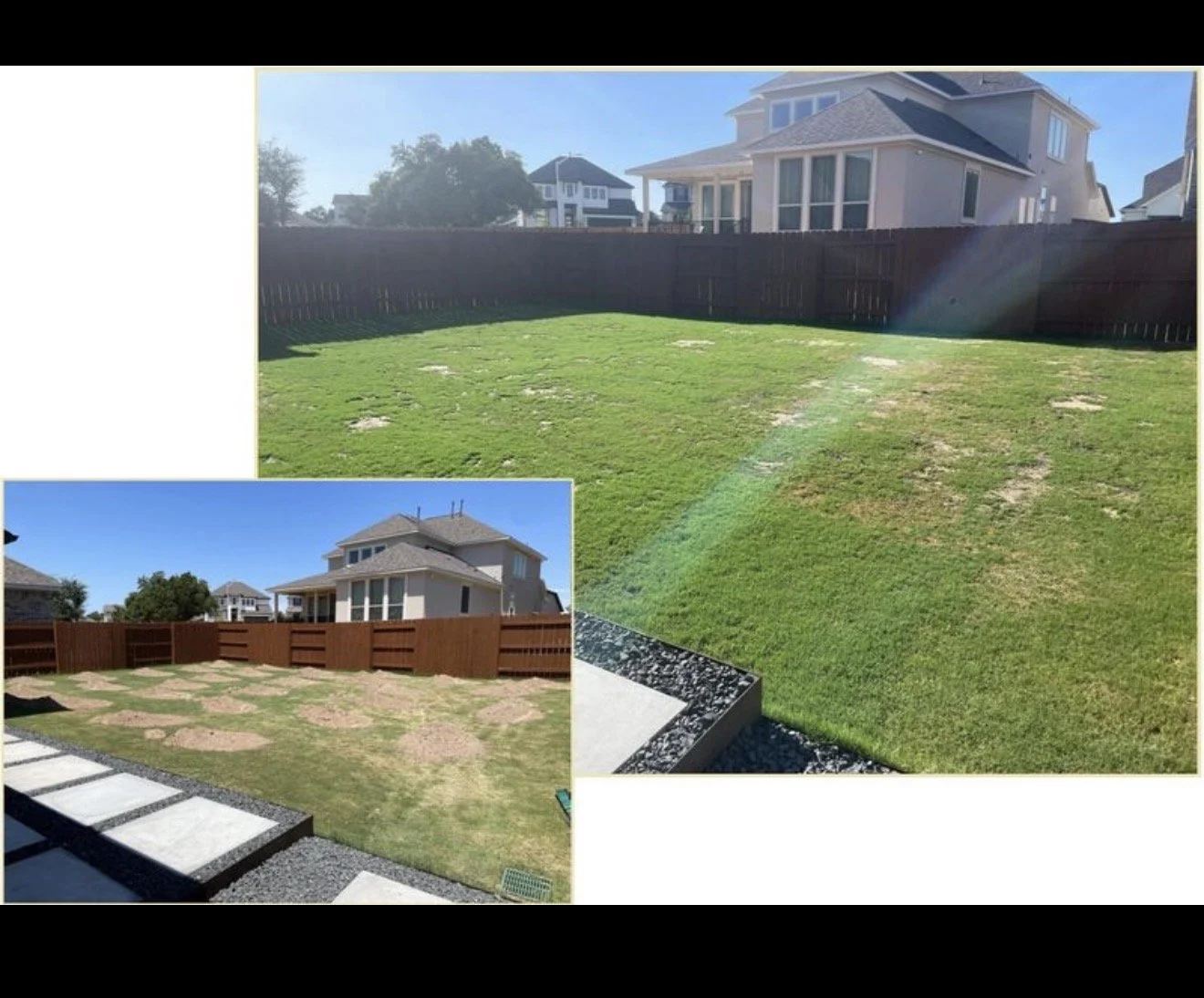 Comparison of two backyard lawns shown in separate images; the larger image has a fence and some patches of dead grass, the smaller image shows a lawn with new grass seed and a wooden fence.