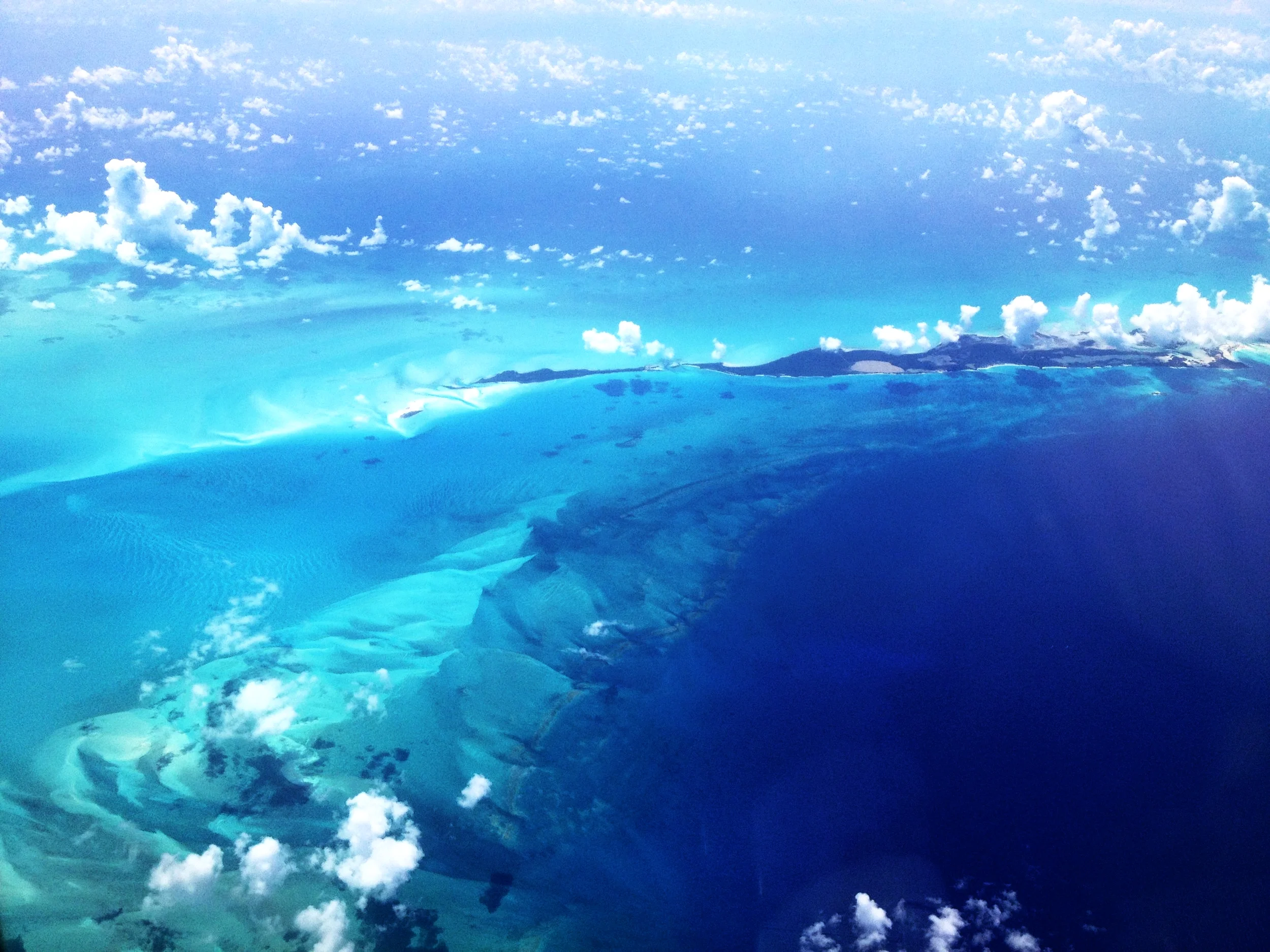 ONE-MINUTE-WITNESS Languages (Copy)