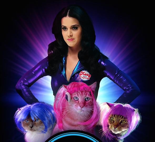 katy popcats.png