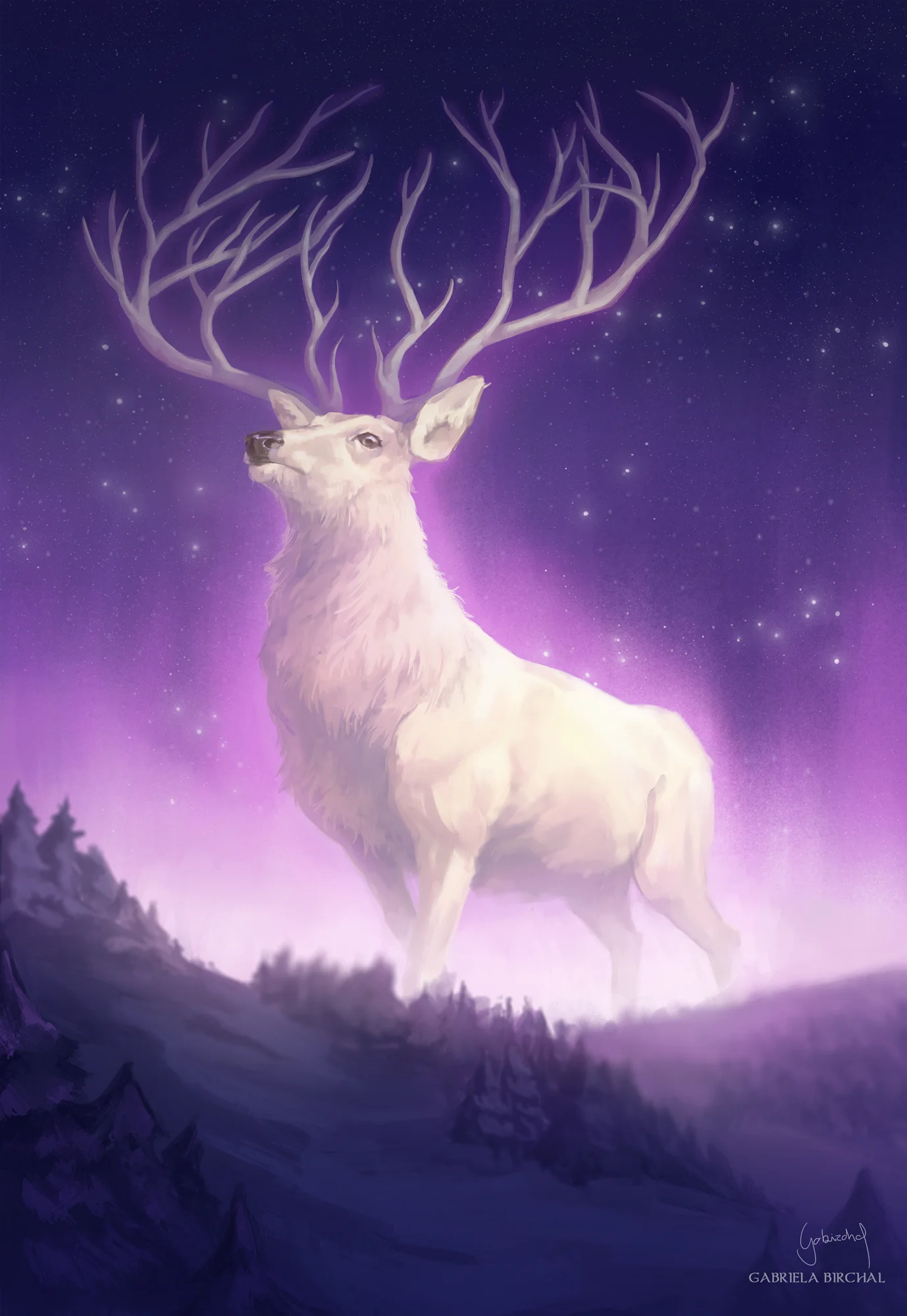 aurora_stag_portfolio.jpg