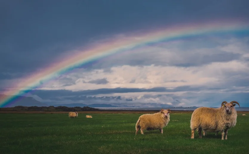 irish.jpg