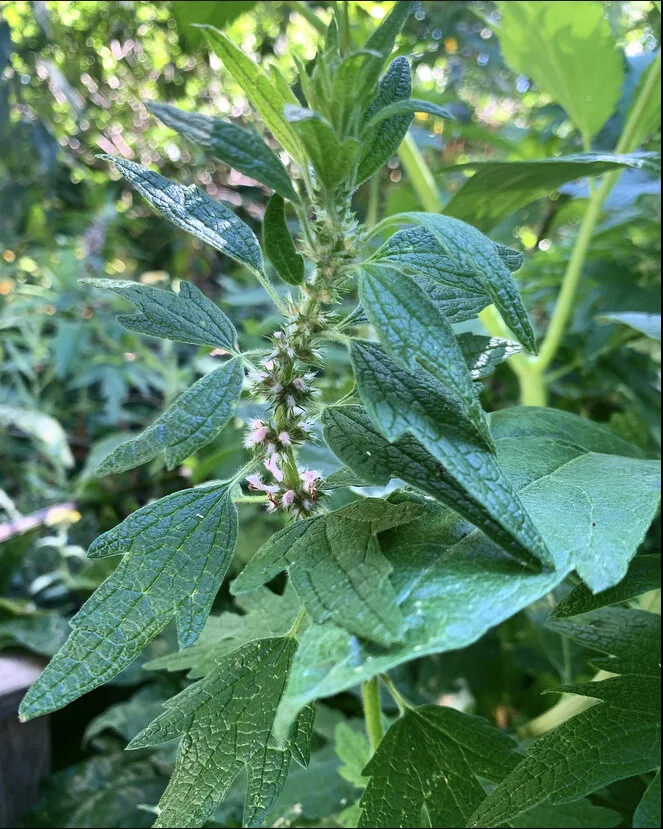 1E384B64-0913-4E3C-B085-3A4C55C1B942