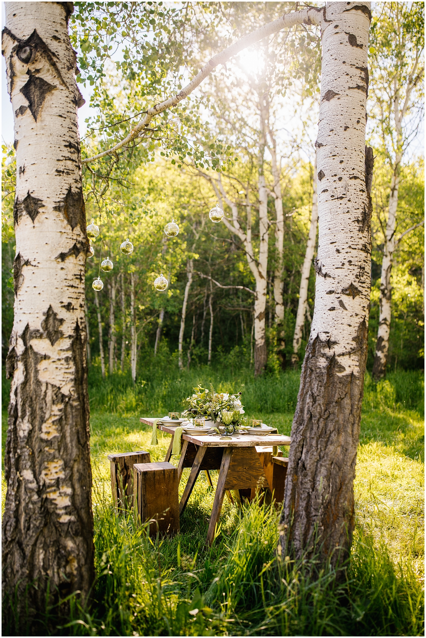 TreeHorseShoot-13_Lizzie-B-Imagery-Utah-Wedding-Photographer-Salt-Lake-City-Park-City-Oakley.jpg