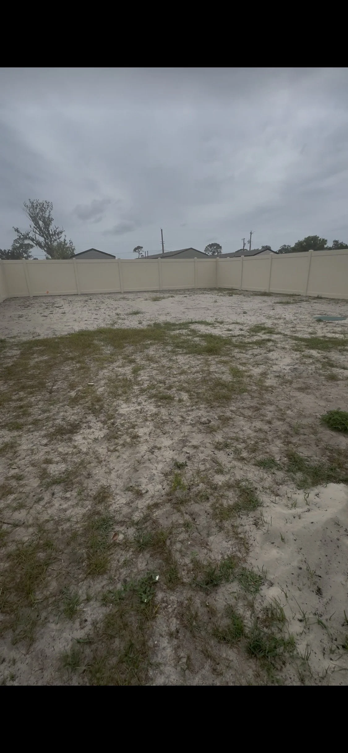 YARD.jpeg