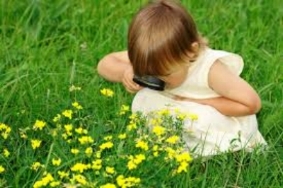 Slow my heartbeat, Lord, today… until I have seen You with child eyes.