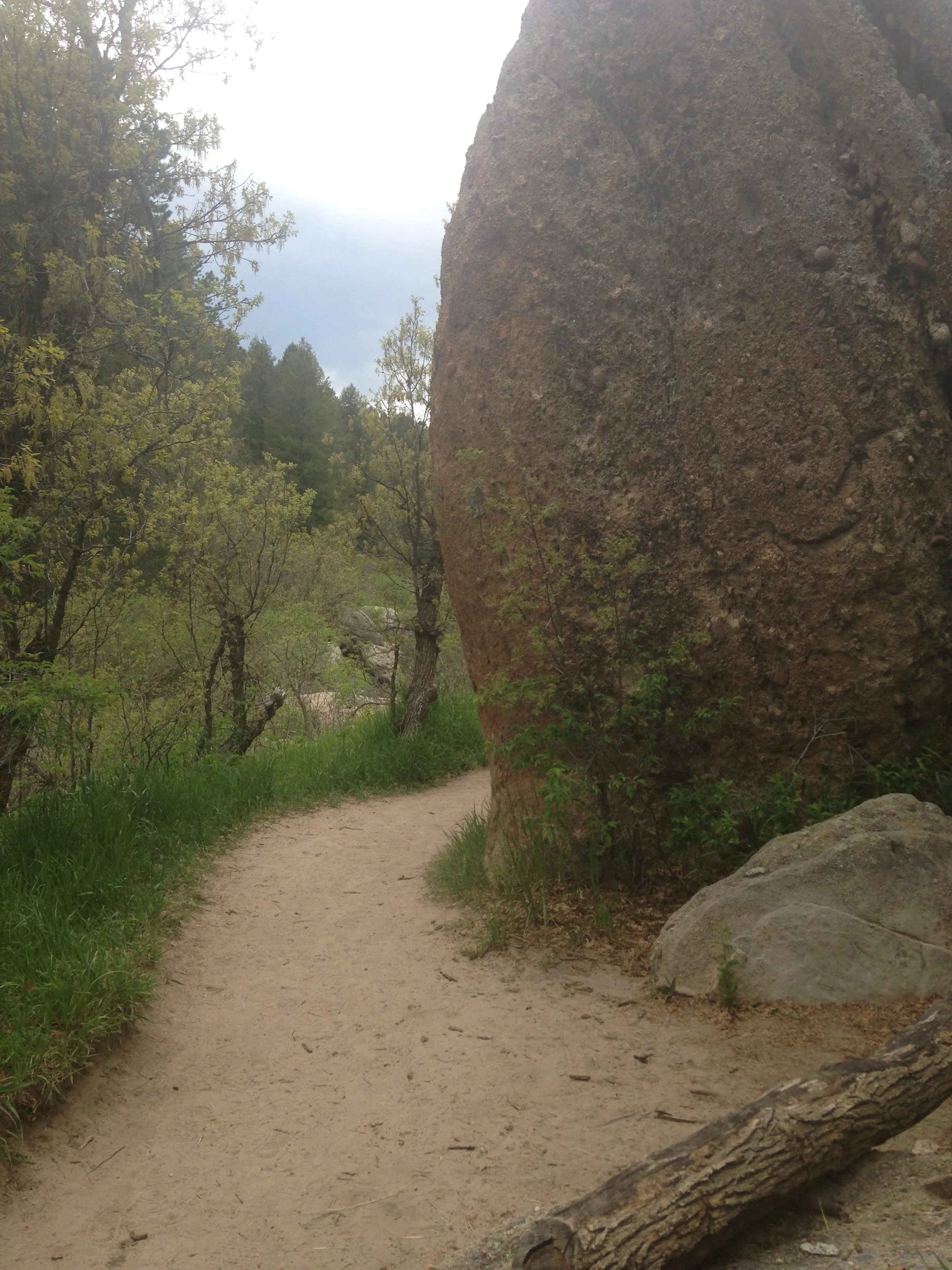 My Writing Journey