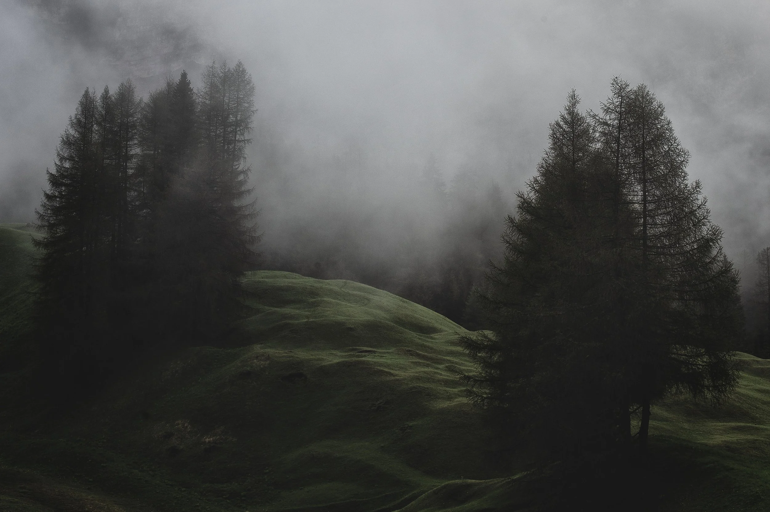 Photo by eberhard grossgasteiger from Pexels.jpg