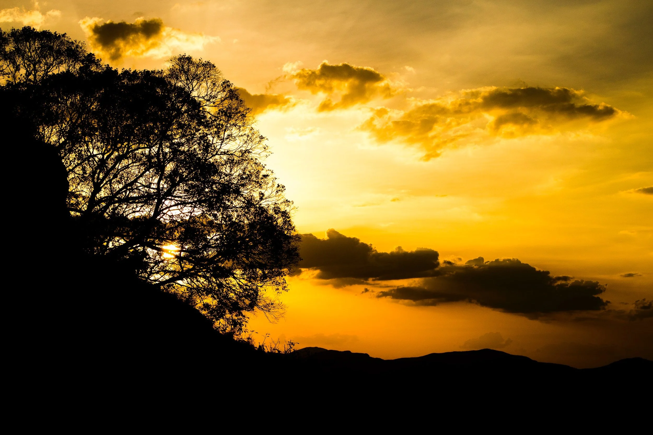 Photo by Antonio Castelo from Pexels