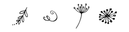 newdividers1.png