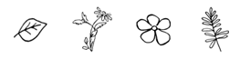 newdividers2.png